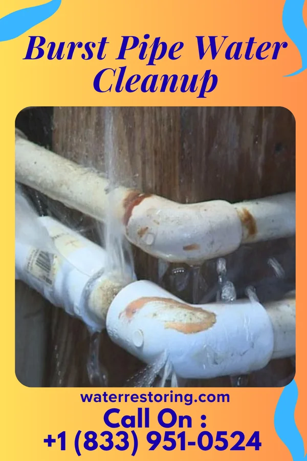 Burst Pipe Water Cleanup in Willards, MD