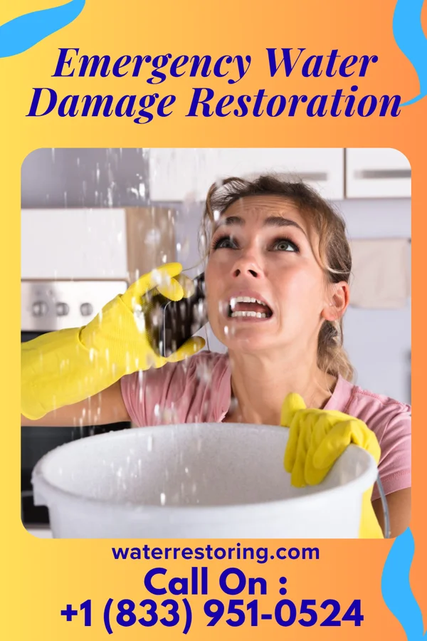 Emergency Water Damage Restoration in Willards, MD