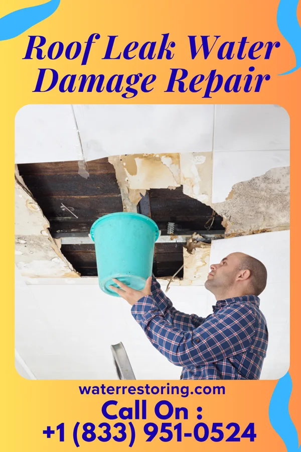 Roof Leak Water Damage Repair in Willards, MD