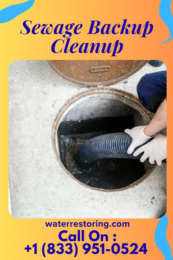 Sewage Backup Cleanup in Willards, MD