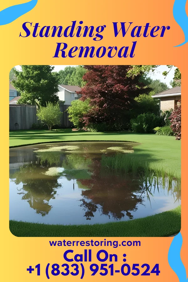 Standing Water Removal in Willards, MD